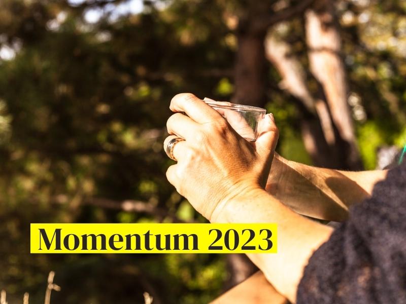 Momentum 2023 - Valérie Demont - Greenheart Business - Lausanne