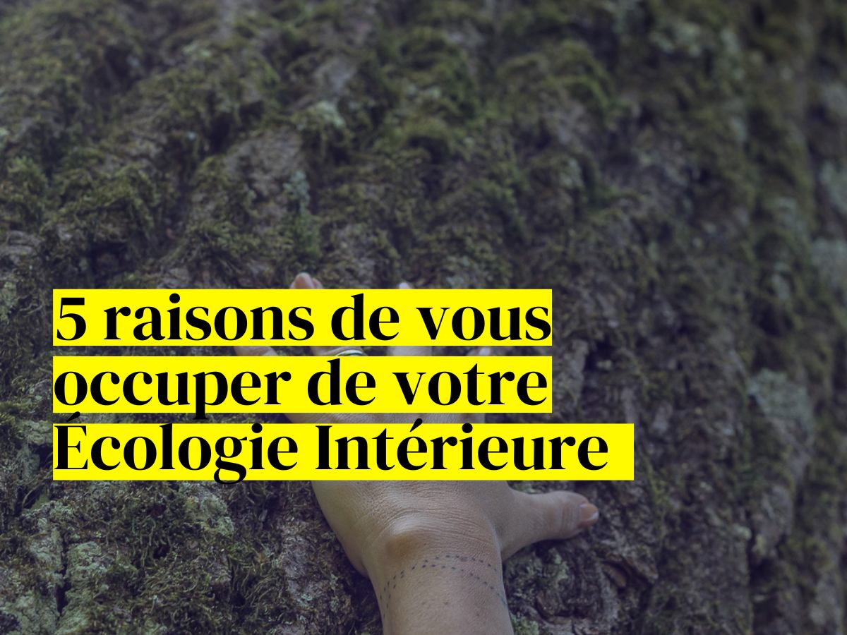 pourquoi les leaders doivent prendre soin de leur écologie intérieure