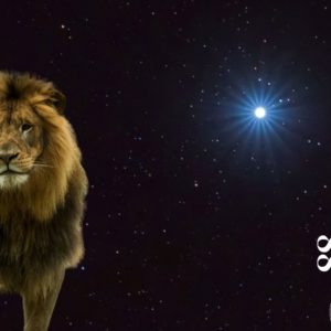 portail du lion 2025 - Activation Entrepreneur Conscient