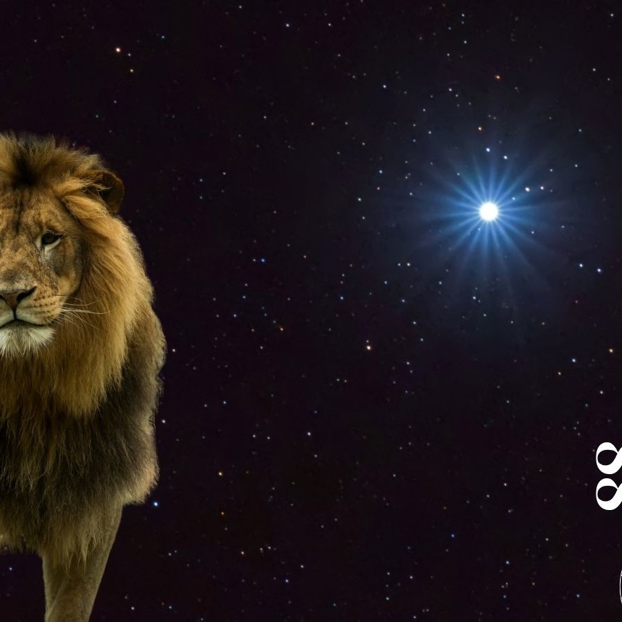 portail du lion 2025 - Activation Entrepreneur Conscient