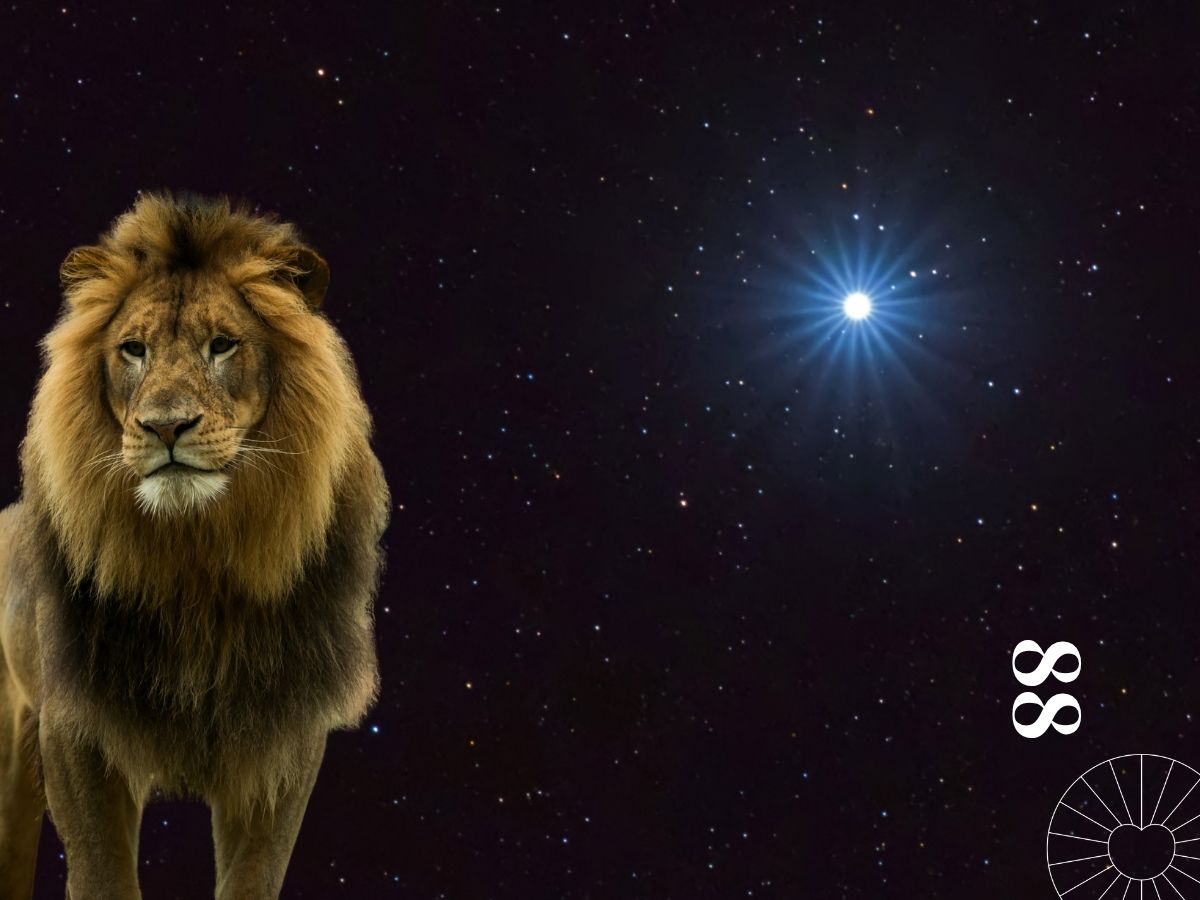 portail du lion 2025 - Activation Entrepreneur Conscient